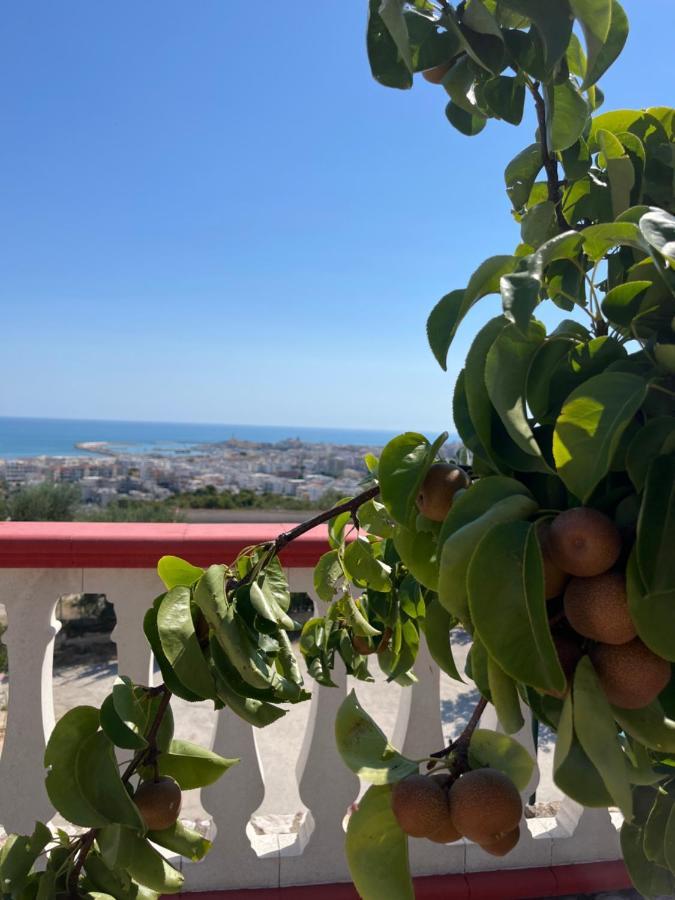Case Vacanze Con Vista Panoramica Da Antonella 维耶斯泰 外观 照片